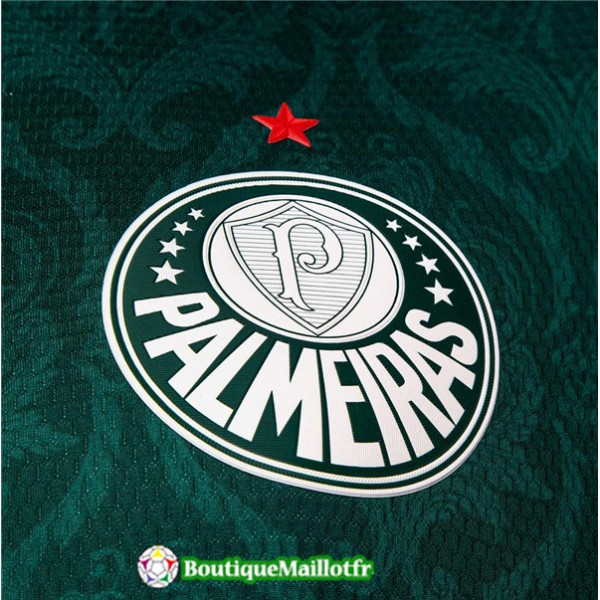 Maillot Palmeiras 2020 2021 Domicile Vert