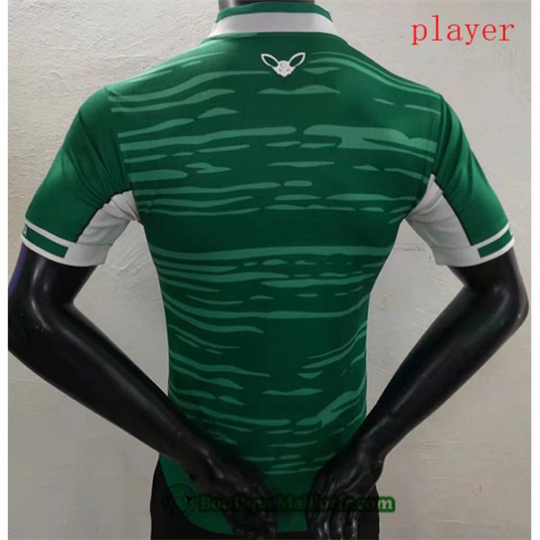 Maillot Algérie Player 2022 2023 Vert