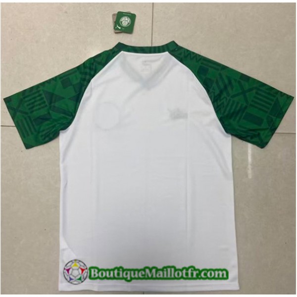 Maillot Palmeiras 2022 2023 Training