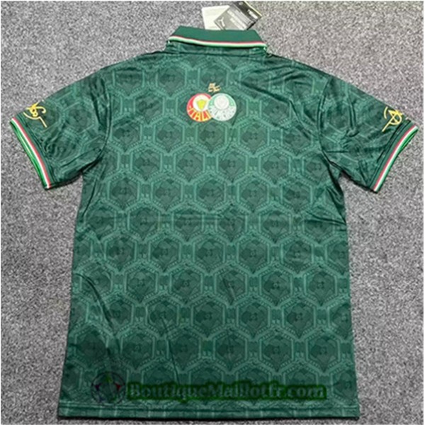 Maillot Palmeiras 2022 2023 Vert