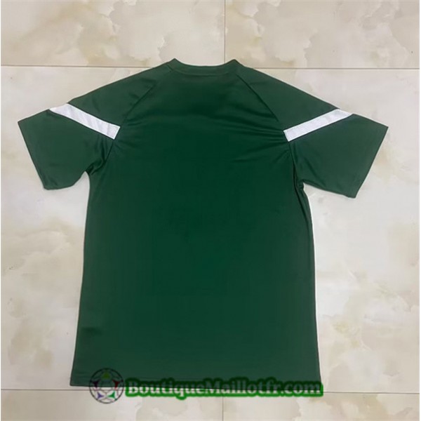 Maillot Palmeiras 2023 2024 Training Vert