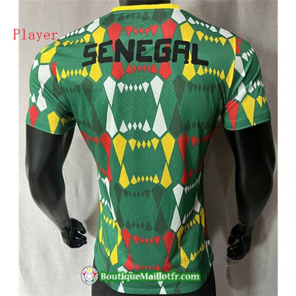 Maillot Senegal Player 2023 2024 Vert