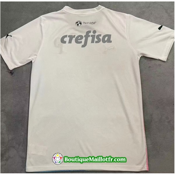 Maillot Palmeiras 2023 Édition Spéciale Blanc