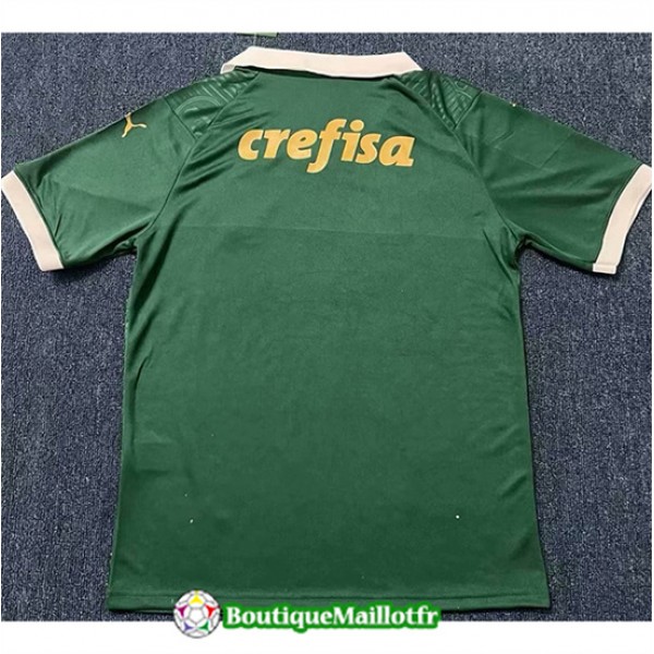 Maillot Palmeiras 2024 2025 Domicile