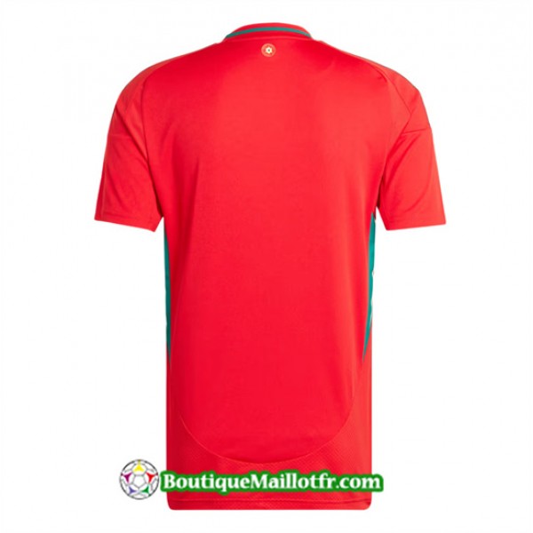 Maillot Pays De Galles 2024 2025 Domicile