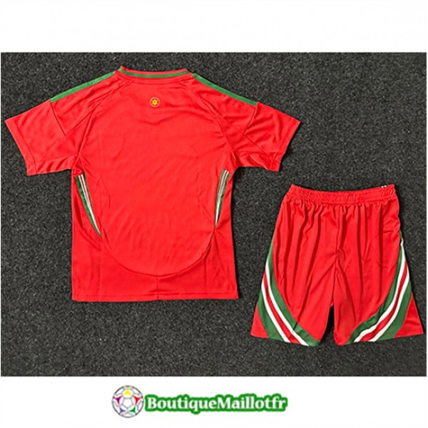 Maillot Pays De Galles Enfant 2024 2025 Domicile