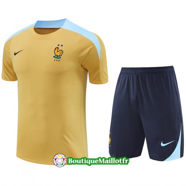 Maillot Kit Entraînement France 2024 2025 Jaune