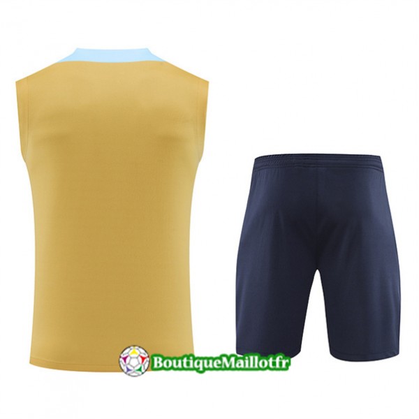 Maillot Kit Entraînement France Debardeur 2024 2025 Jaune