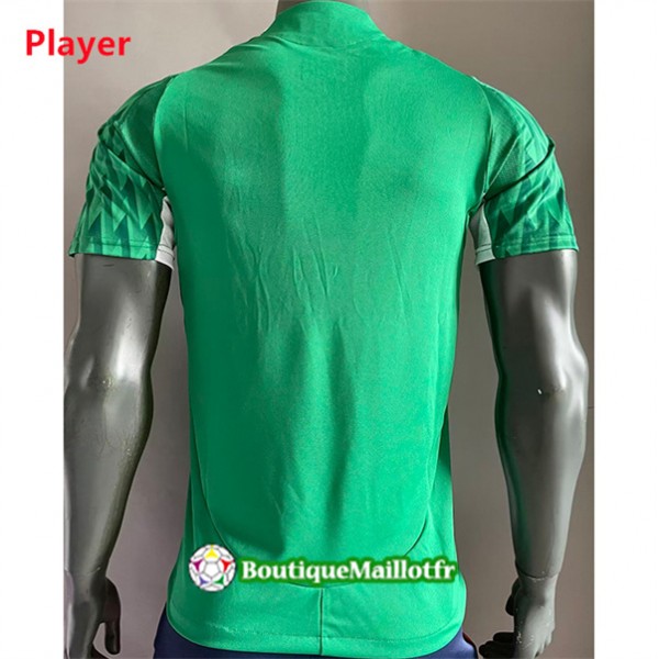 Maillot Palmeiras Player 2024 2025 Spéciale Vert