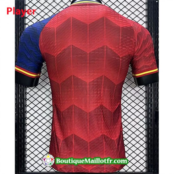 Maillot Espagne Player 2024 2025 Special