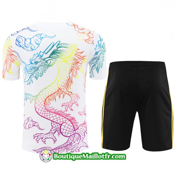 Maillot Kit Entraînement Real Madrid 2024 2025 Blanc